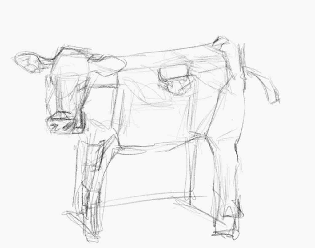 Buffalo Sketch