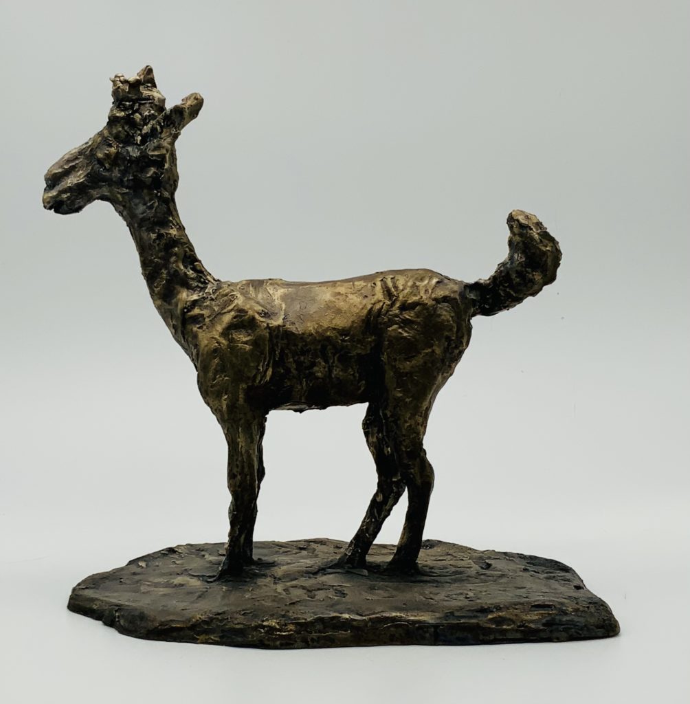 Baby Giraffe in Bronze