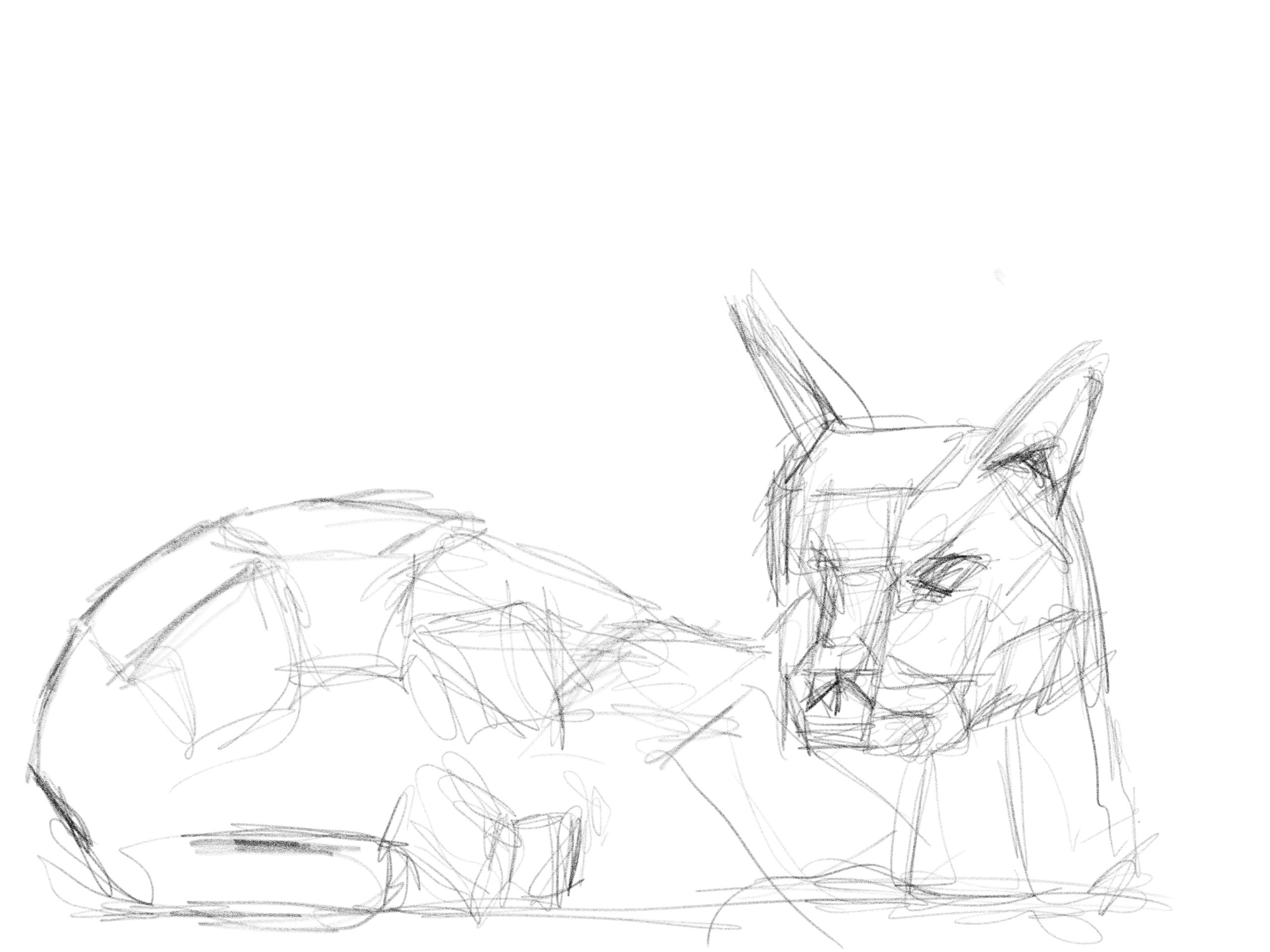 Sketch of cat laying down