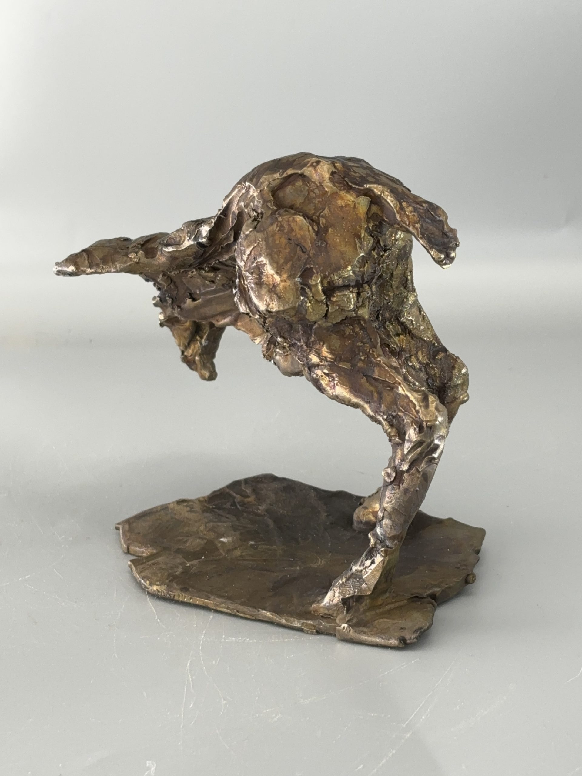 Buffalo in bronze