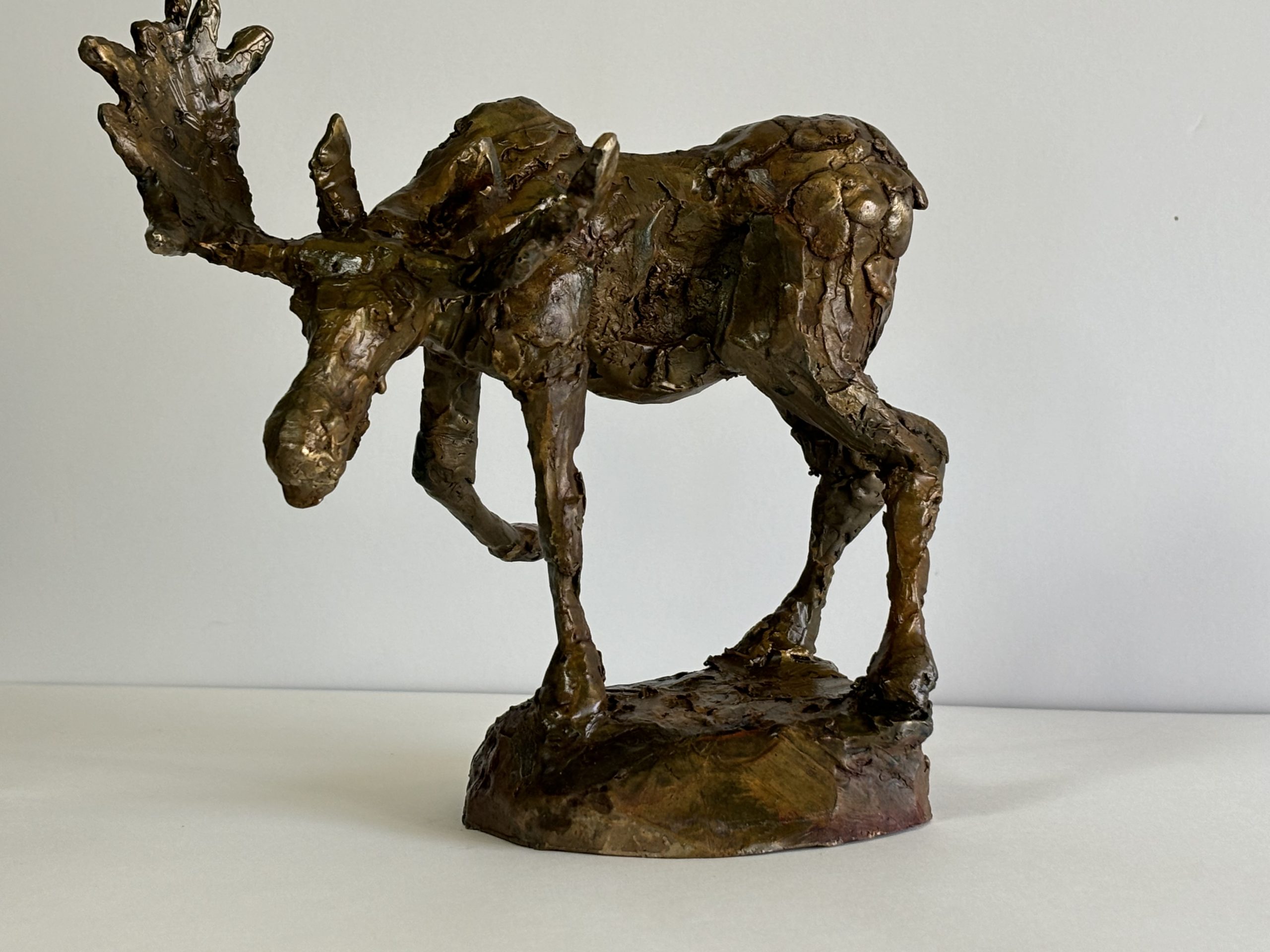 Buffalo in bronze